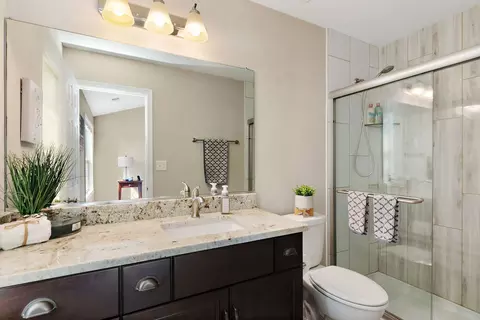 Bath - 24037 W Pear Tree Cir, Plainfield, IL 60585 photo 2 of 3