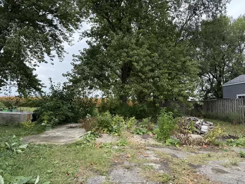 Exterior - 315 N Eldon St, Cisco, IL 61830 photo 3 of 3