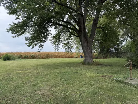Exterior - 315 N Eldon St, Cisco, IL 61830 photo 2 of 3
