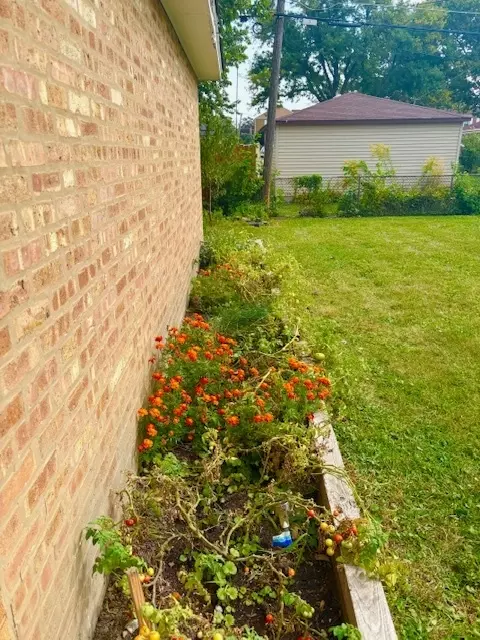 Exterior - 2235 S 18th Ave, Broadview, IL 60155 photo 5 of 6