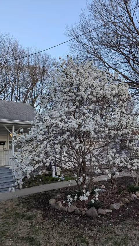 Exterior - 817 Chestnut Ave, Dixon, IL 61021 photo 13 of 15
