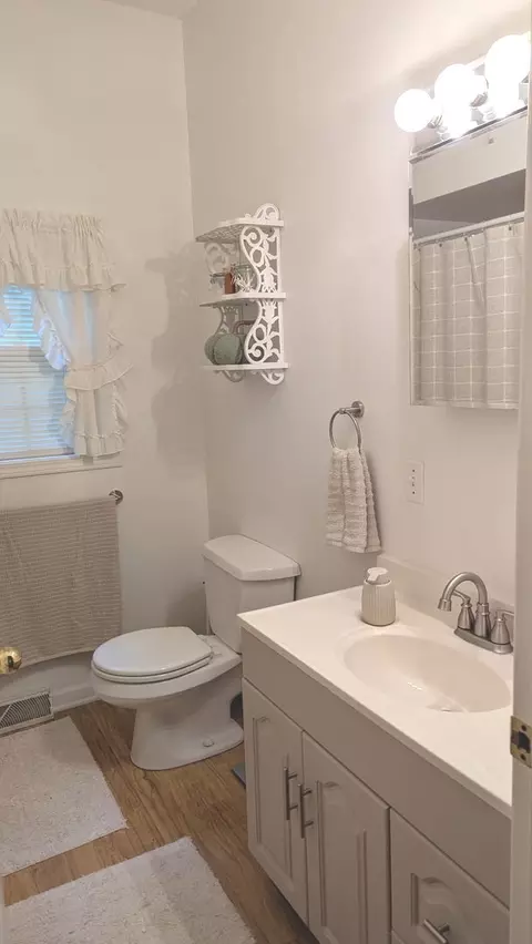 Bath - 817 Chestnut Ave, Dixon, IL 61021 photo 3 of 5