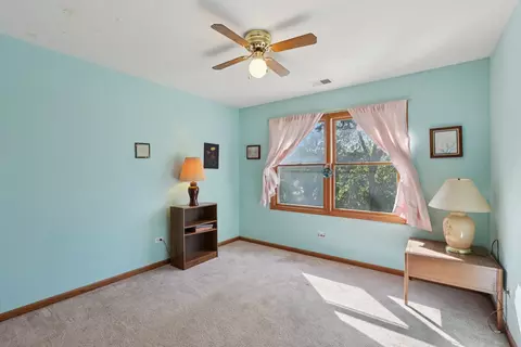 7718 Virginia Ct, Willowbrook, IL 60527 photo 22