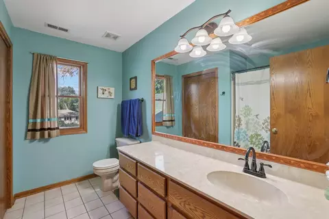 7718 Virginia Ct, Willowbrook, IL 60527 photo 25