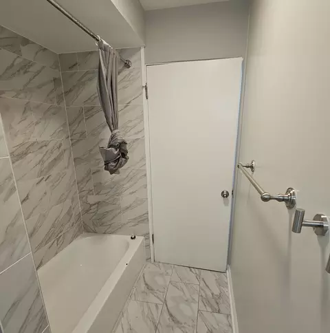 Bath - 1291 Phoenix Dr, Des Plaines, IL 60018 photo 2 of 5
