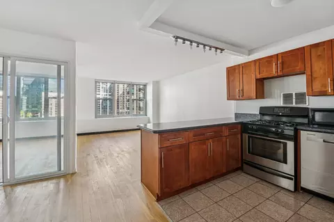 Other - 400 E Randolph St #1016, Chicago, IL 60601 photo 2 of 10