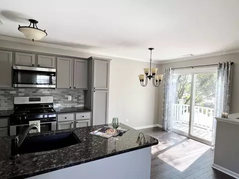 543 Wynn Ct #543, Wheeling, IL 60090 photo 21