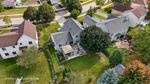 12154 Pear Tree Way, Plainfield, IL 60585 photo 8