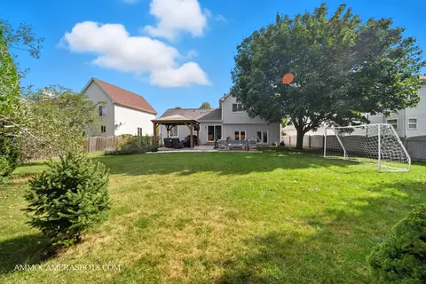 12154 Pear Tree Way, Plainfield, IL 60585 photo 44