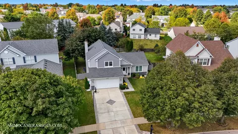 12154 Pear Tree Way, Plainfield, IL 60585 photo 5