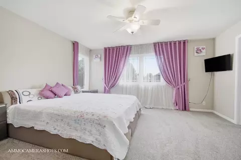 12154 Pear Tree Way, Plainfield, IL 60585 photo 31