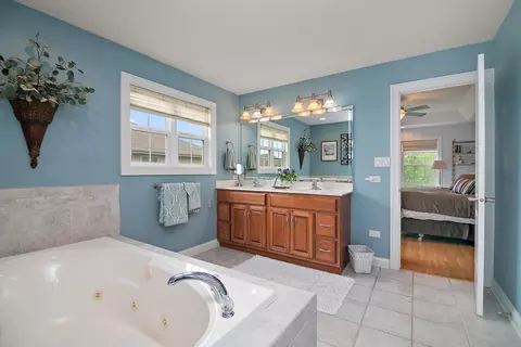 Bath - 318 Maple St, Beecher, IL 60401 photo 5 of 5