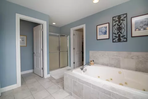 Bath - 318 Maple St, Beecher, IL 60401 photo 4 of 5
