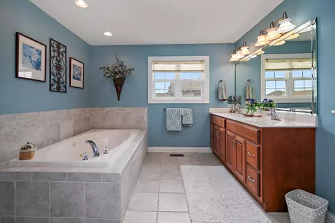 Bath - 318 Maple St, Beecher, IL 60401 photo 3 of 5