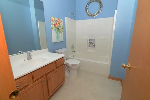 Bath - 515 Madison Ln, Elgin, IL 60123 photo 5 of 5