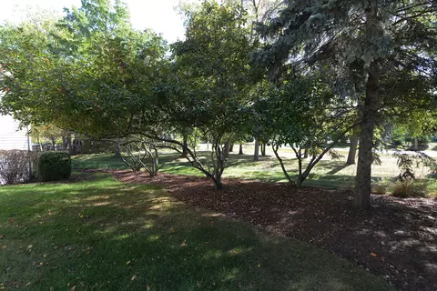 Exterior - 515 Madison Ln, Elgin, IL 60123 photo 3 of 8