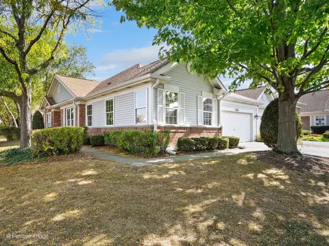 21535 W Empress Ln, Plainfield, IL 60544 photo 3
