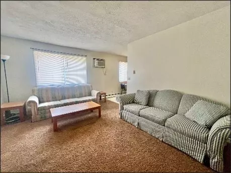 309 Lindell, Normal, IL 61761 photo 22