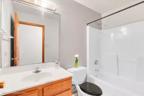 Bath - 663 Primrose Ln, Matteson, IL 60443 photo 1 of 4