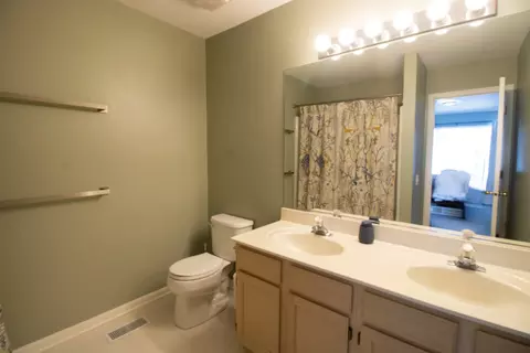 Bath - 1223 Summersweet Ln, Bartlett, IL 60103 photo 2 of 3