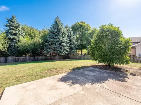 24127 Primrose Cir, Plainfield, IL 60585 photo 18