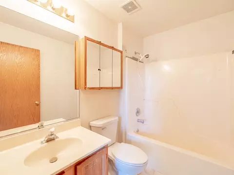 24127 Primrose Cir, Plainfield, IL 60585 photo 13