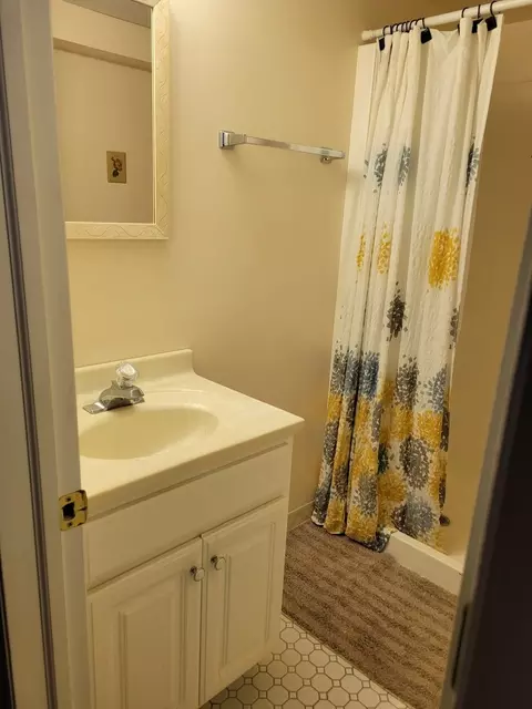 Bath - 8554 S Keating Ave, Chicago, IL 60652 photo 4 of 4