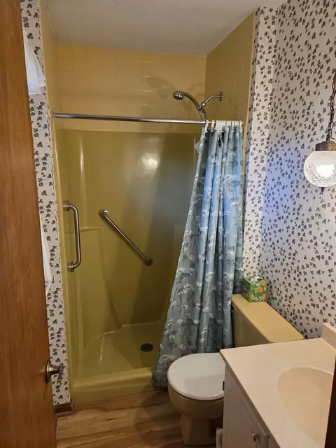Bath - 205 Briar Ln, Morris, IL 60450 photo 3 of 3