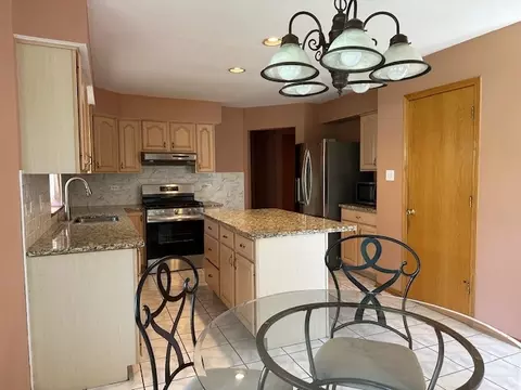 Kitchen - Undisclosed, Matteson, IL 60443 photo 10 of 11