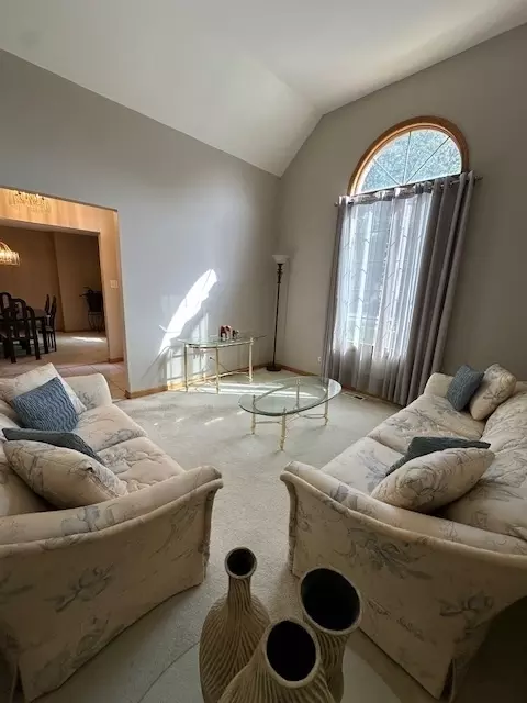 Living - Undisclosed, Matteson, IL 60443 photo 4 of 14