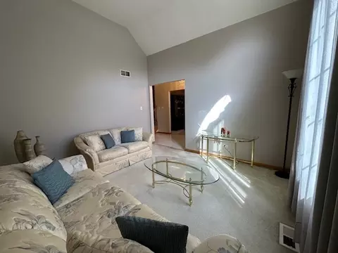 Living - Undisclosed, Matteson, IL 60443 photo 3 of 14