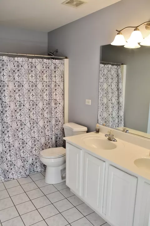 Bath - 651 Chestnut Rdg, Minooka, IL 60447 photo 2 of 3