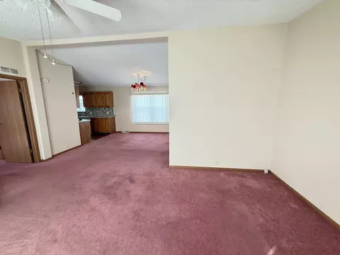52 Crocus Ln, Matteson, IL 60443 photo 22