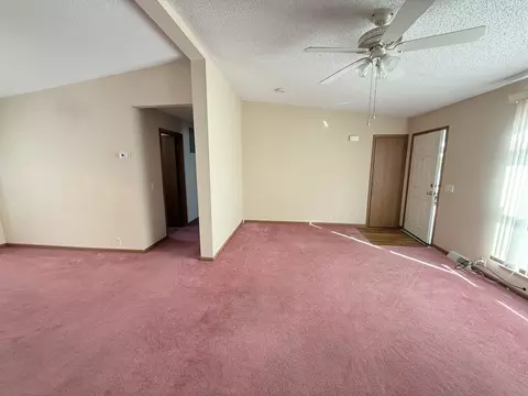 52 Crocus Ln, Matteson, IL 60443 photo 9