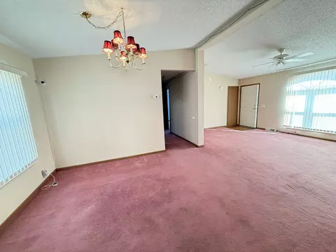 52 Crocus Ln, Matteson, IL 60443 photo 21