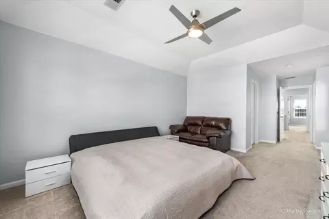 24043 W Pear Tree Cir, Plainfield, IL 60585 photo 14