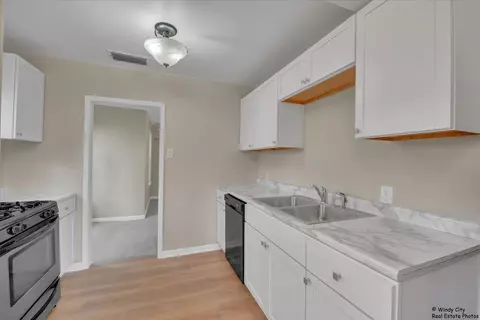 123 E Pineview Dr, Round Lake Park, IL 60073 photo 10