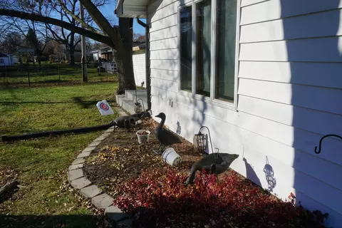 Exterior - Undisclosed, Kankakee, IL 60901 photo 15 of 17