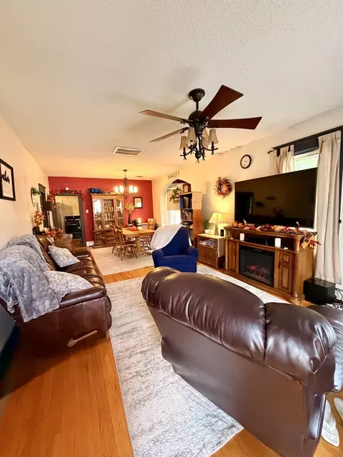Living - 329 W Devlin St, Spring Valley, IL 61362 photo 1 of 1