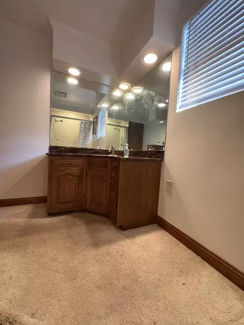 102 Maple St, Cedar Point, IL 61316 photo 23