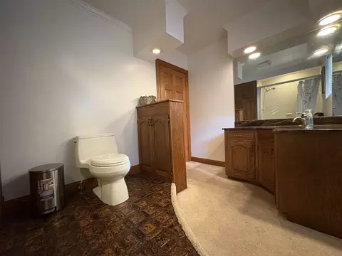 102 Maple St, Cedar Point, IL 61316 photo 21
