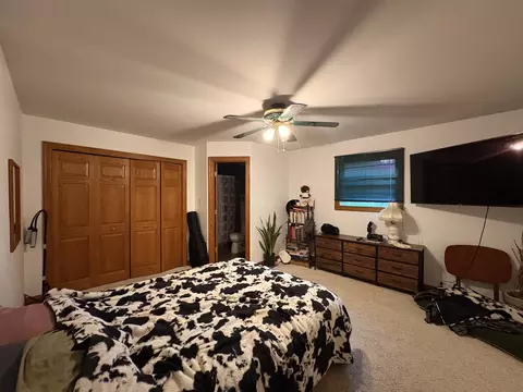 102 Maple St, Cedar Point, IL 61316 photo 10