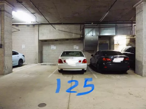 1250 S Michigan Ave #PARKING125, Chicago, IL 60605