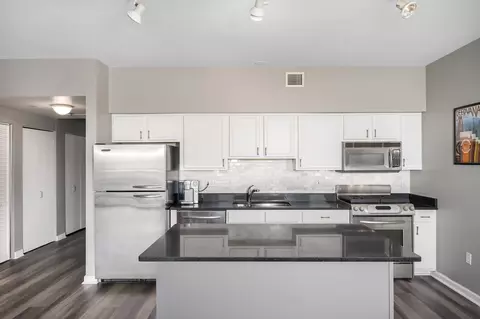 Kitchen - 5 E 14th Pl #806, Chicago, IL 60605 photo 3 of 4