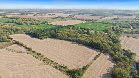 View/Area - 5810 W Lightsville Rd, Leaf River, IL 61047 photo 7 of 10