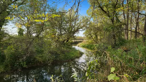 View/Area - 5810 W Lightsville Rd, Leaf River, IL 61047 photo 9 of 10