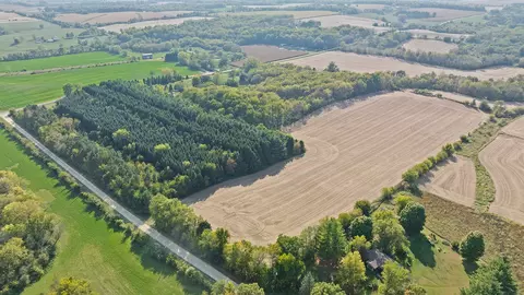 View/Area - 5810 W Lightsville Rd, Leaf River, IL 61047 photo 8 of 10