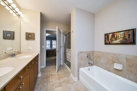 Bath - 255 E Liberty Dr #302, Wheaton, IL 60187 photo 2 of 3