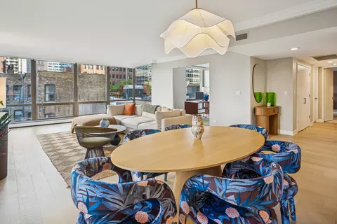 100 E Bellevue Pl #5E, Chicago, IL 60611 photo 10