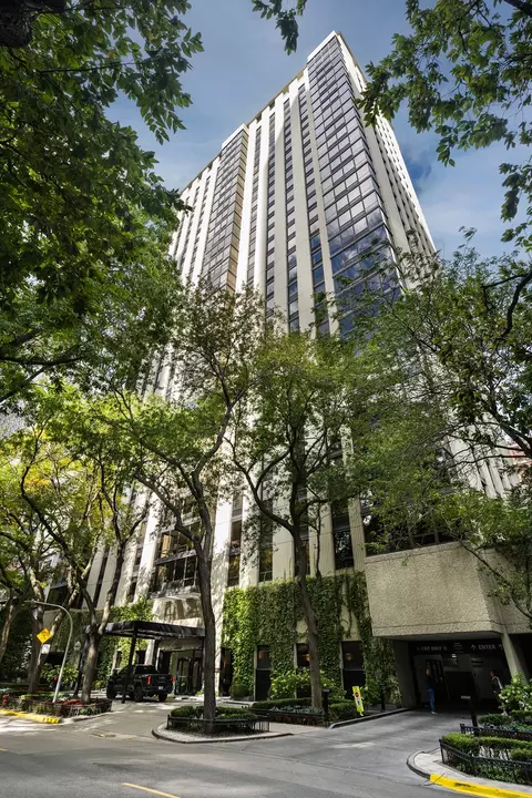 100 E Bellevue Pl #5E, Chicago, IL 60611